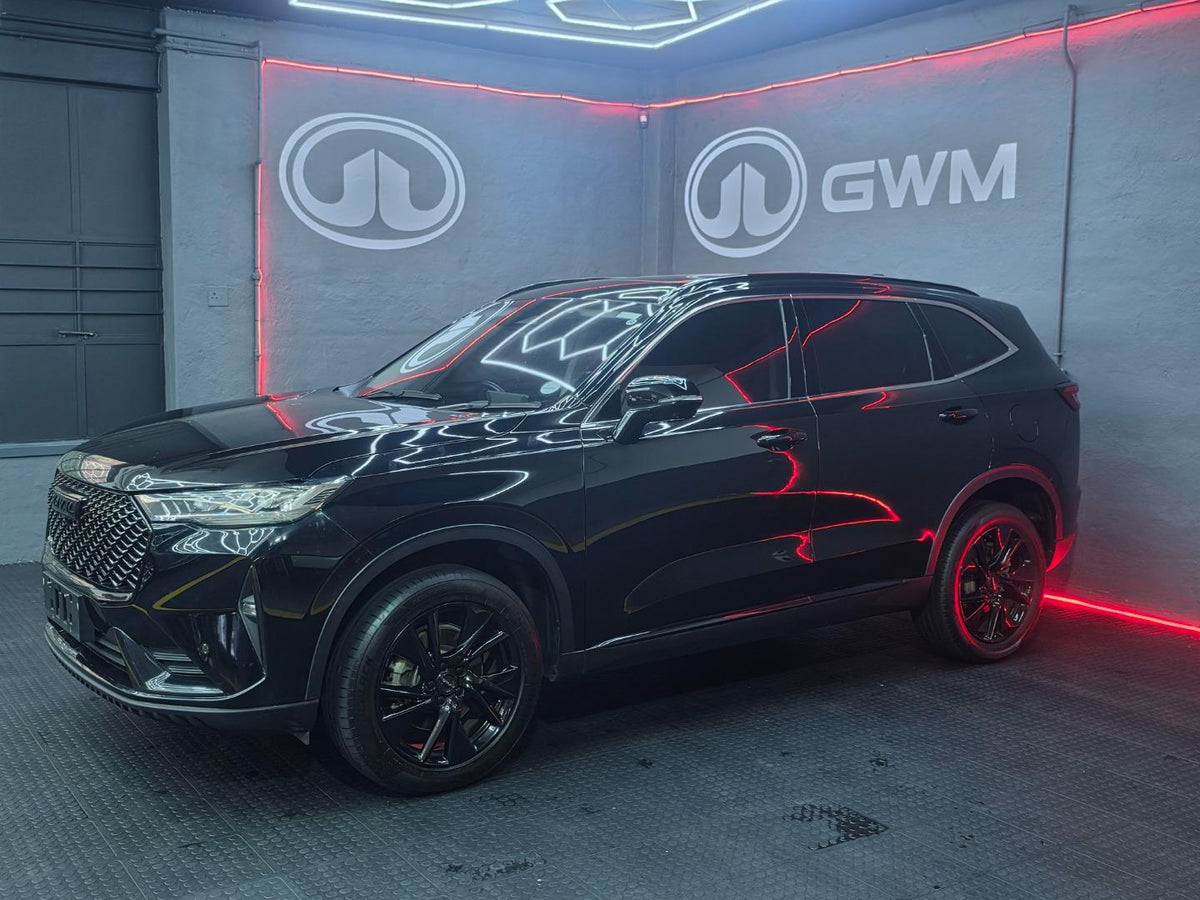 2023 Haval H6 2.0T 4WD Super Luxury (Used)