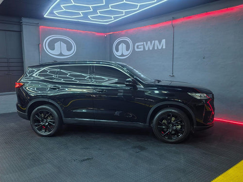2023 Haval H6 2.0T 4WD Super Luxury (Used)