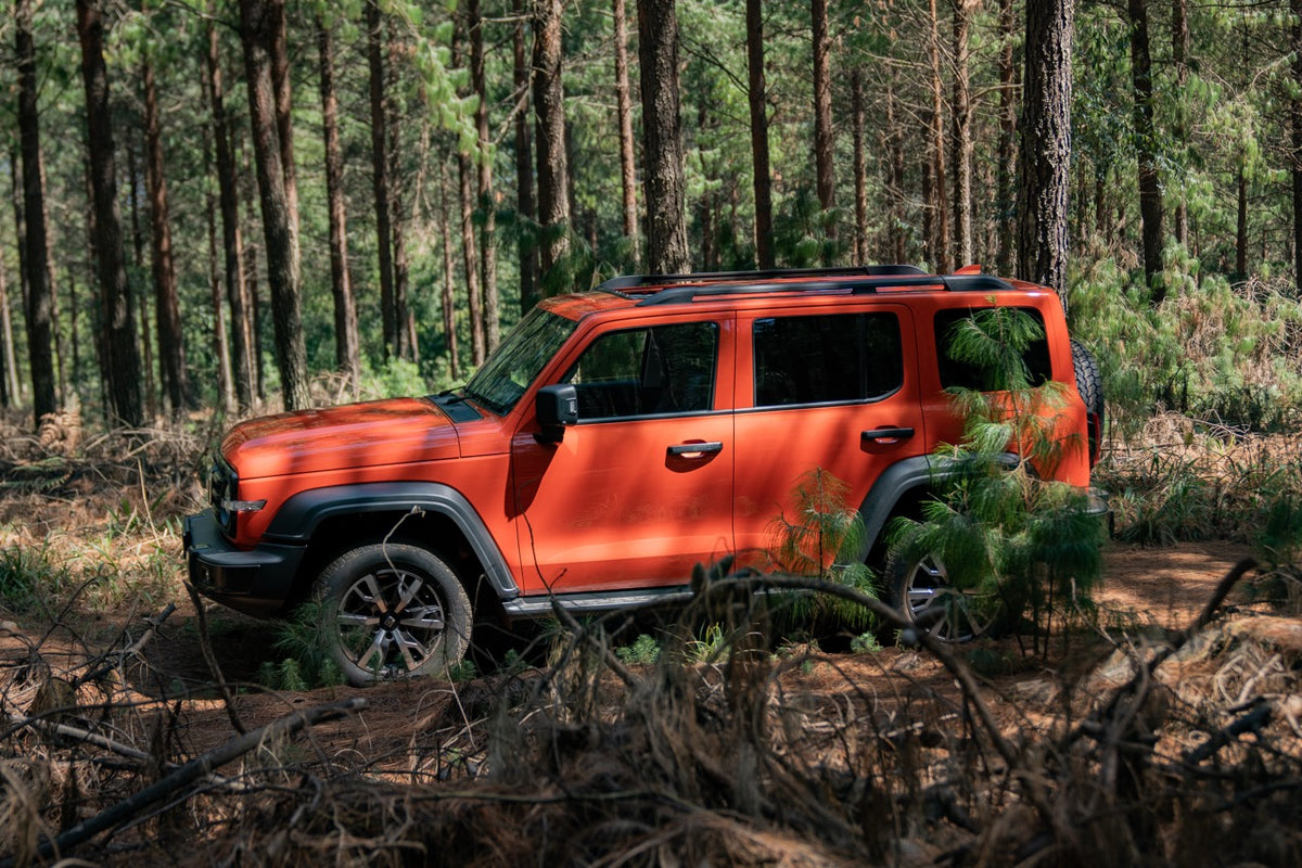 Tank 300 2.0T Super Luxury Hybrid 4x4 A/T