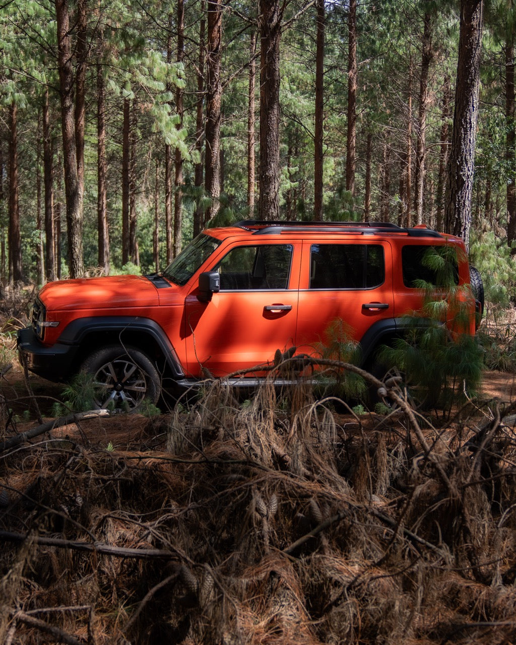Tank 300 2.4TD Super Luxury 4x4 A/T