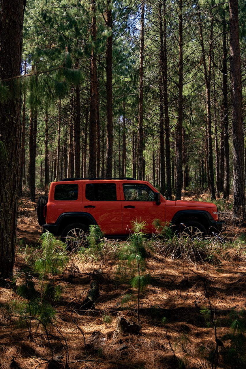 Tank 300 2.0T Super Luxury Hybrid 4x4 A/T