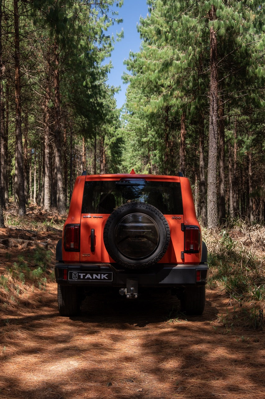 Tank 300 2.4TD Ultra Luxury 4x4 A/T