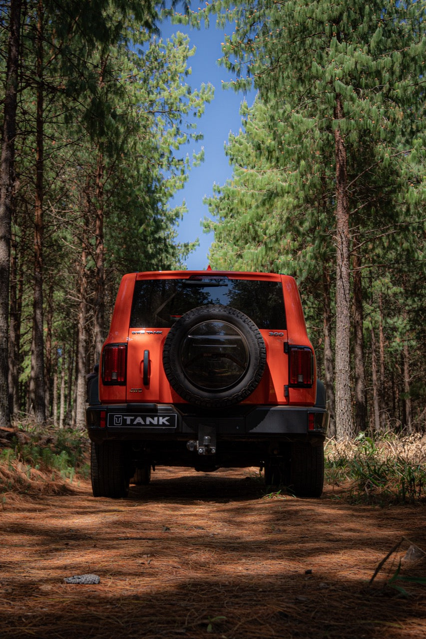 Tank 300 2.4TD Ultra Luxury 4x4 A/T