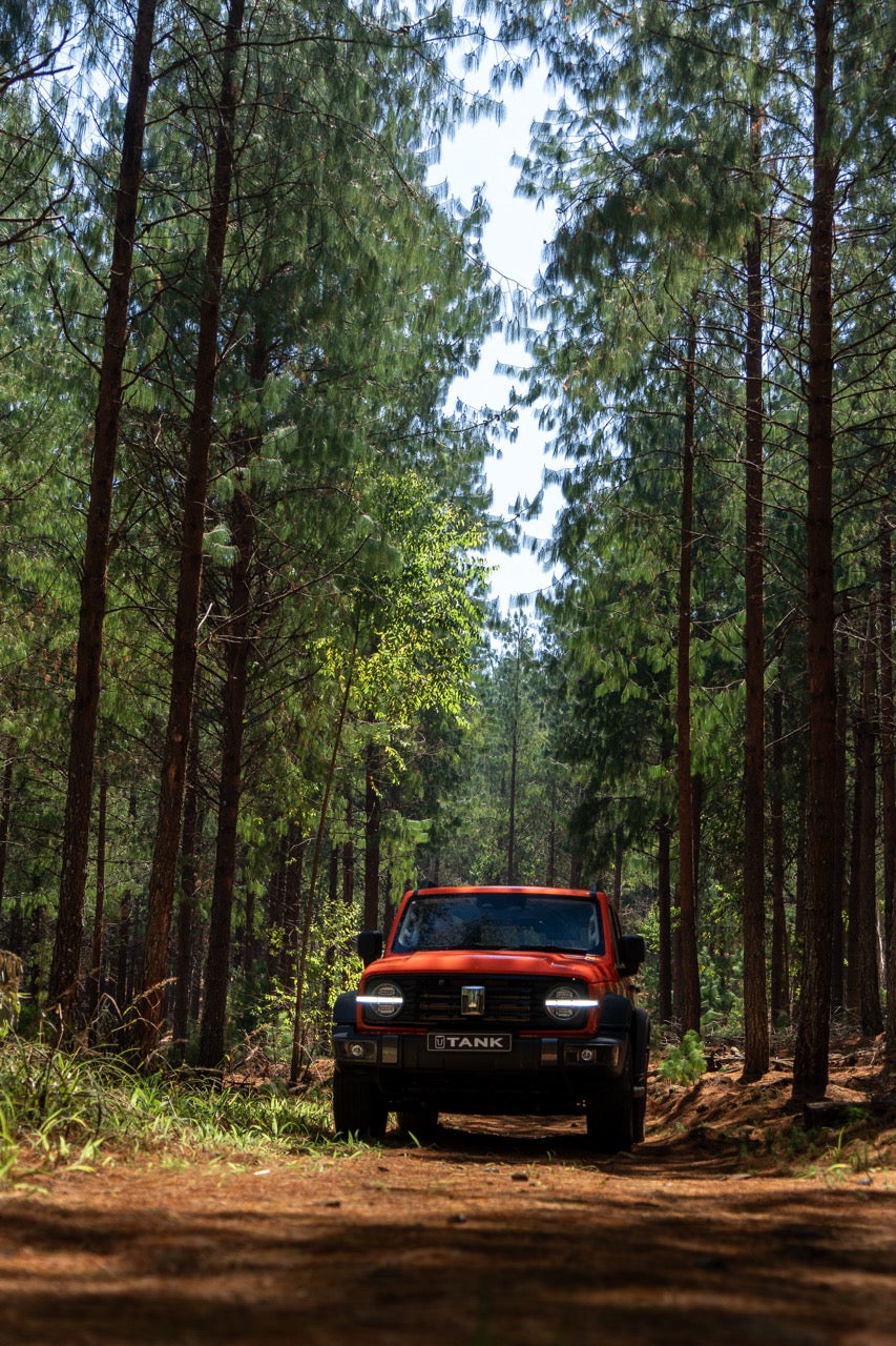 Tank 300 2.0T Super Luxury Hybrid 4x4 A/T
